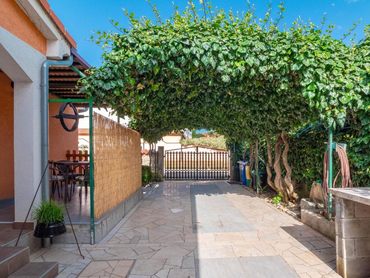 Apartmani Arijana מדולין מראה חיצוני תמונה