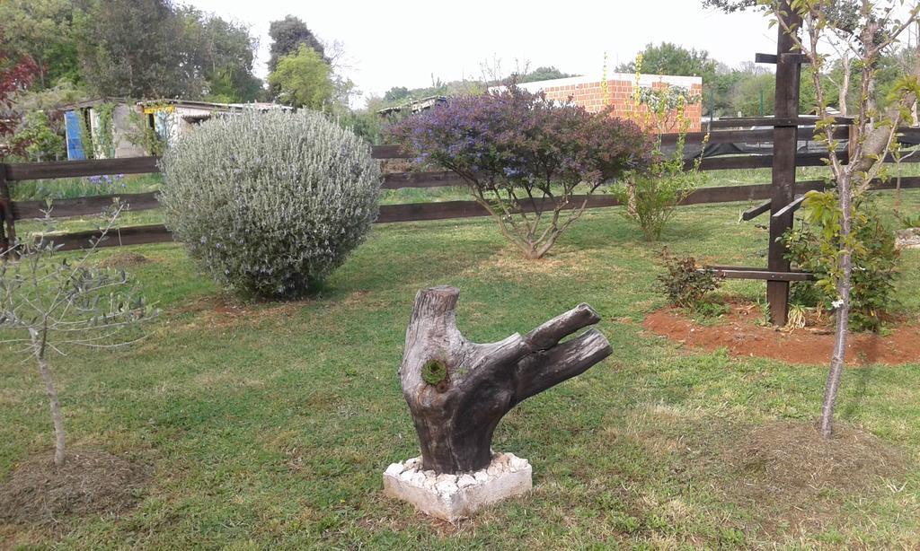 Apartmani Arijana מדולין חדר תמונה