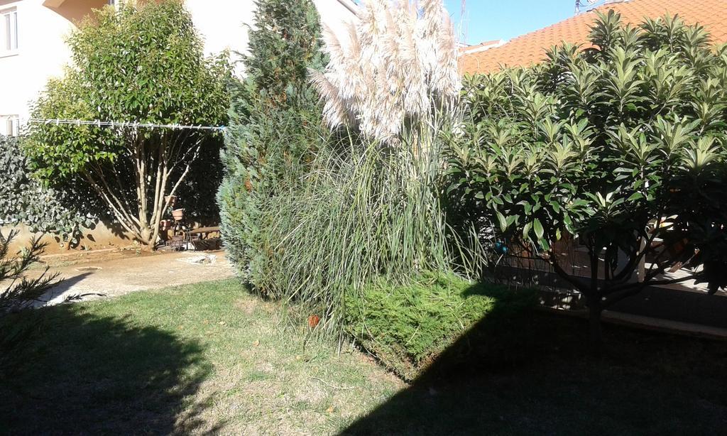 Apartmani Arijana מדולין מראה חיצוני תמונה
