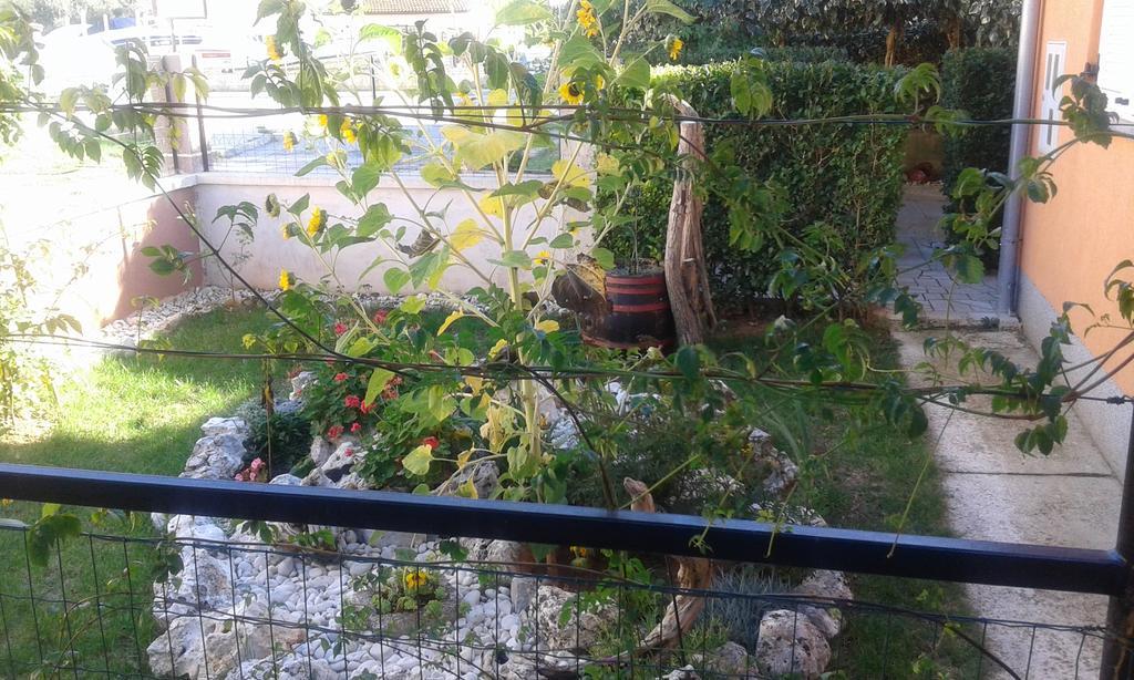Apartmani Arijana מדולין מראה חיצוני תמונה
